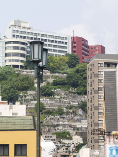 _6080120_サイズ変更.jpg